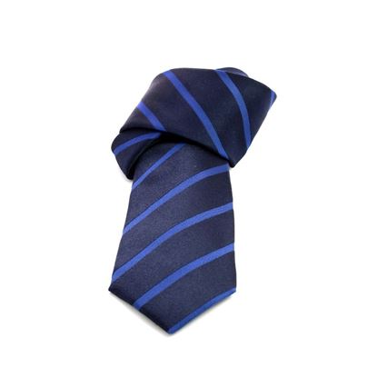 Picture of Blue Regimental Jacquard Silk Tie - 8 cm. wide
