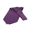 Picture of Patterned Silk Ascot