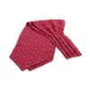 Picture of Patterned Silk Ascot