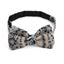 Picture of Patterned Wool Bow Tie