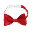 Picture of Red Silk Bow Tie