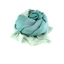 Picture of Green Degradè Colors Lightweight Scarf