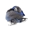 Picture of Soft Checked Scarf