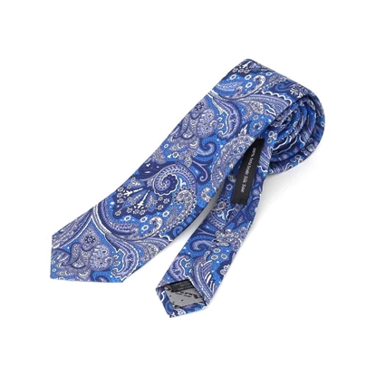 Picture of Paisley Silk Tie - 7 cm. wide 