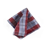 Picture of Red & Blue Checked Silk Handkerchief